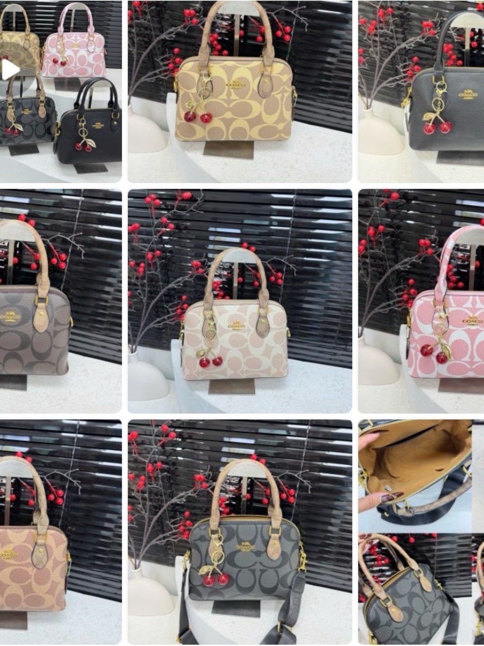 Coach Signature Dome Satchel - Pink, Beige, Gray, Black, Brown Options
